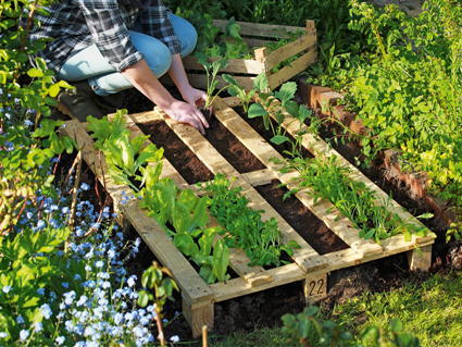 “Moestuin”