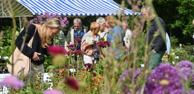 Kleurrijk tuinfeest op 8 en 9 juni Plantenfestijn bij Bloemenpark Appeltern