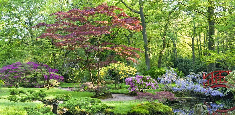 Goede Japanse tuin in Clingendael objecten en hun betekenis HI-26