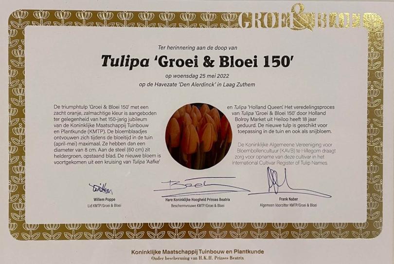 Tulp ‘Groei & Bloei 150’ weer te koop
