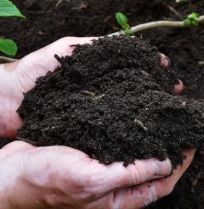 Composteren in de winter: het begin van een gezond tuinjaar