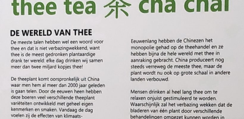 De geschiedenis van thee (2) Blik op de Tuin no. 993