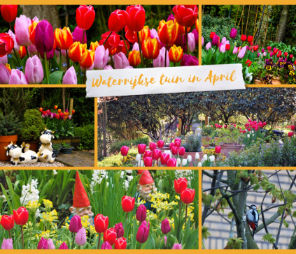 De Waterrijkse tuin in April